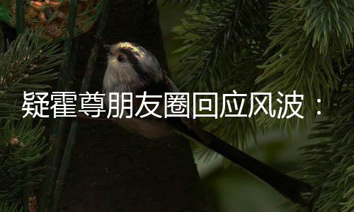 都没我疑霍友圈风波回应尊朋真的做什么