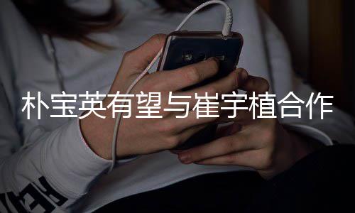 朴宝望与故事英有影 崔宇情电植合作爱剧情简介